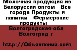 Молочная продукция из Белоруссии оптом - Все города Продукты и напитки » Фермерские продукты   . Волгоградская обл.,Волгоград г.